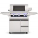 Fire Magic 30-inch Echelon Diamond E660i Portable Grill (Digital)