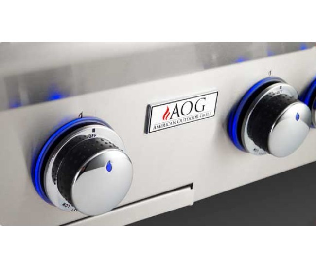 American Outdoor Grill By Fire Magic 24-inch L Series Portable Grill With Rotisserie and Single Side Burner